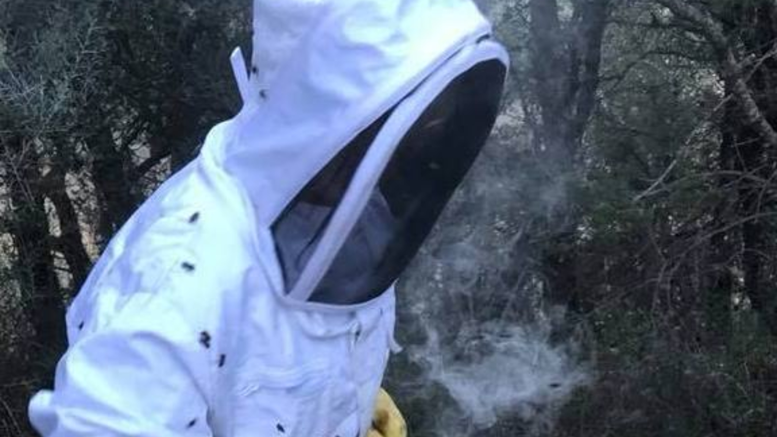 EN CONTACTO CON LA NATURALEZA, PROPULSORA DE LA VIDA.