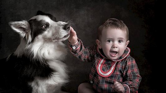 DISTIRA FOTOGRAFOS S.L.