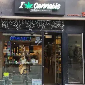 I LOVE CANNABIS Logo