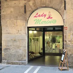 Lanas Lady Merino Logo