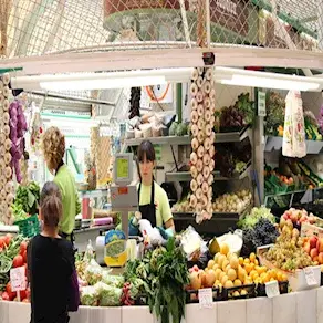frutas-y-verduras-zabalza-portada-XXL-1.webp
