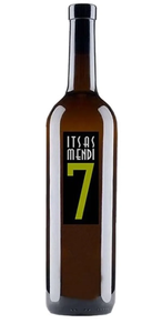 ITSASMENDI 7 Bizkaiko txakoilina